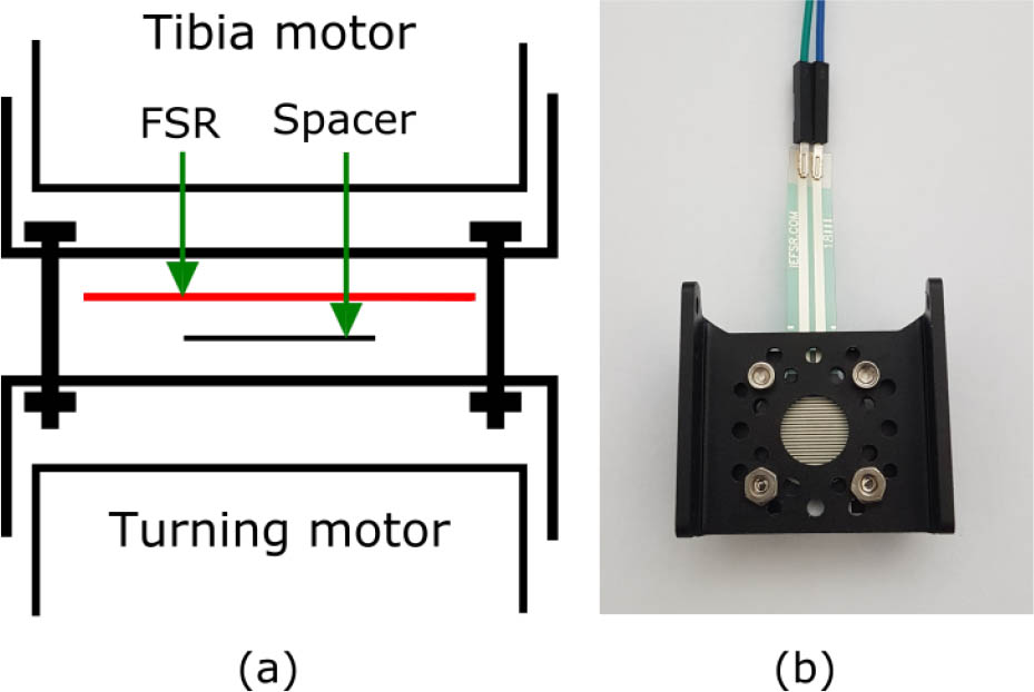 Figure 9 Placement of the force-sensitive resistor in the leg. (a) placement schema of the force-sensitive resistor in the leg. (b) placement of the force-sensitive resistor in the real bracket.