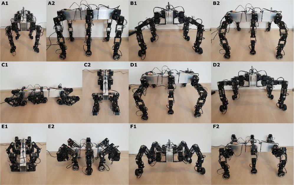 Figure 10 Robot stances. Several different stances are shown in this figure. Each stance can be used to overcome obstacle of different size and shape. A1, A2: The highest stance the robot is capable of. This stance can be used to get over high obstacles up to 38 cm. B1, B2: The basic stance of the robot that is used during ordinary movement. C1, C2: Stance with the smallest height (only 20 cm) can be used to crawl under a low obstacle. D1, D2: This stance is lower modification of the basic stance and is also used during ordinary movement. E1, E2: The shortest stance. F1, F2: Third variant of the basic stance, which is the lowest.