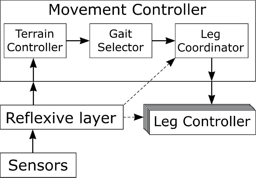 Figure 11 A schema of robot controller. Sensors provide data to reflexive layer that can control leg movement directly in case of emergency. Sensor data is also sent as an input to terrain controller where are transformed and used by gait selector to determinate the most appropriate gait for current terrain. Selected gait is then executed by leg coordinator which commands leg controllers.