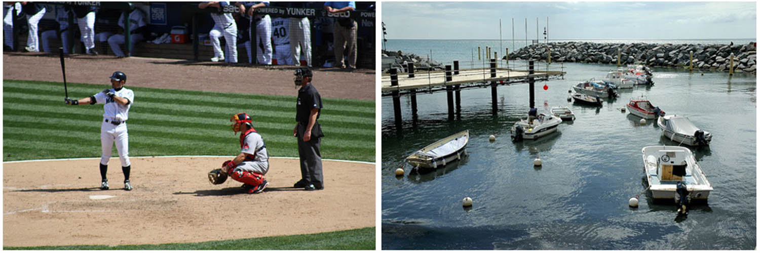 Figure 2 
               The left image is the training picture in the COCO dataset. The right image is the picture in the PASCAL VOC dataset. The detection objects in the figure are relatively sparse and do not constitute a dense scene.
            