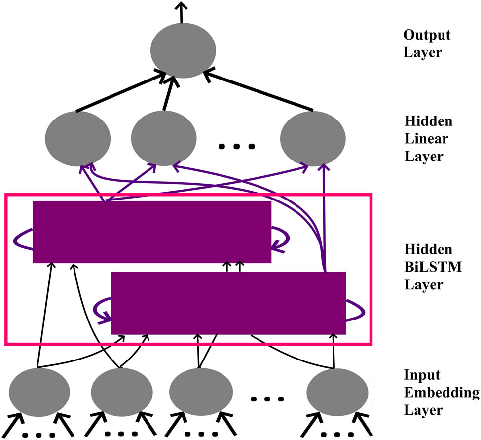 Figure 3 
                  Network architecture for SA.
               