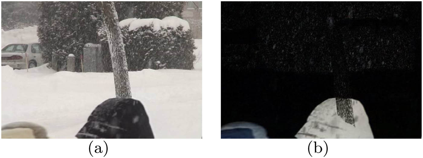 Figure 1 
                  Candidate foreground: (a) input image and (b) candidate foreground using IRCUR [25].
               