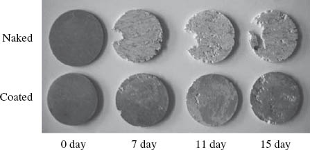 Figure 1: 
					A comparison of the corrosion behavior of untreated versus calcium orthophosphate-coated AZ31 alloy immersion in 3% NaCl solution for an increasing number of days.
					Reprinted from Yang et al. (2008), with permission from Elsevier.
				