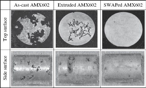 Figure 8: 
							Macro-corrosion appearance of samples after being immersed in 0.1 m NaCl solution for 2 weeks.
							Reprinted from Liao et al. (2012), with permission from Elsevier.
						