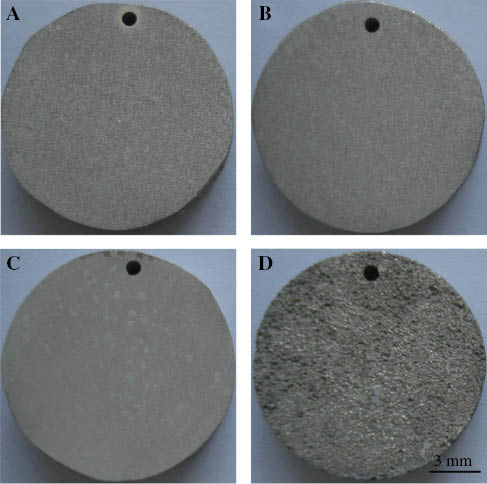 Figure 14: 
					Corrosion morphologies of the GZ51K alloy after immersion in SBF for 120 h heat treated at (A) 350°C, (B) 400°C, (C) 450°C, and (D) 500°C (Zhang et al., 2015).
				