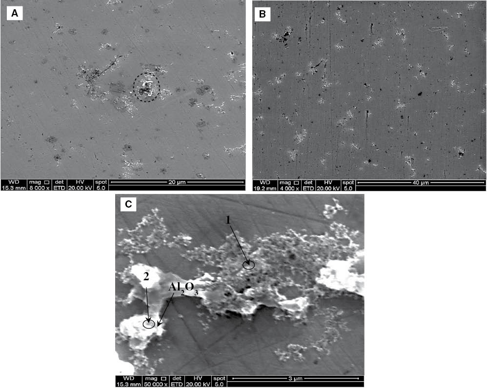 Figure 10: 
						SEM images of steel samples (A) with 600 s cathodic polarisation at -1.7 V under static conditions and (B) with 600 s cathodic polarisation at -1.7 V under flow conditions constructed by the RDE (500 rpm) and (C) a focused view of image (A).
					