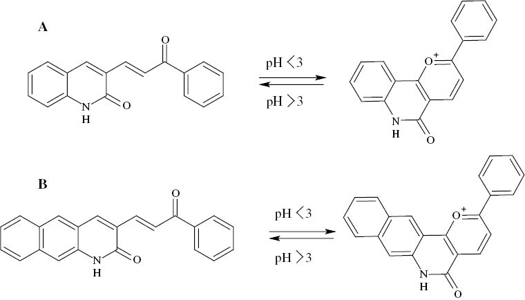 Figure 2: 
					Structural transformation of (A) PPQ and (B) PPBQ in strong acidic medium.
				