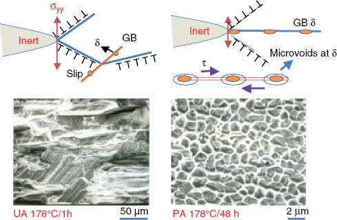 Figure 5: 
					Fracture process in AL-2.9 Li alloys with GB-δ ppts under inert lab air environment. In the UA, fracture surface is mixed TG+IG and in PA (and OA) it is IG.
				
