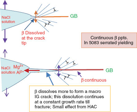 Figure 7: 
						Fracture process in 5083 alloy with continuous GB-β precipitates in NaCl solution.
					