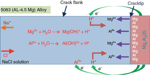 Figure 8: 
					Chemical reactions in NaCl solution of 5083 alloy.
				