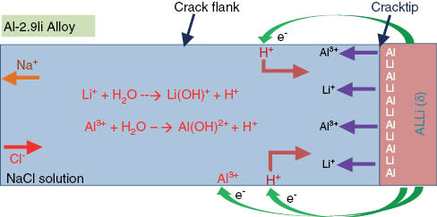 Figure 9: 
					Chemical reactions in NaCl solution of AL-2.9Li alloy.
				