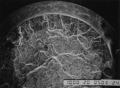 Figure 2: 
						Characteristic external peripheral ring of intergranular fracture for AA2024-T351 tensile specimens pre-exposed to 0.53 m NaCl for times up to 300 h prior to slow strain rate testing to failure at a nominal strain rate of 10-5/s while exposed to laboratory air.
					