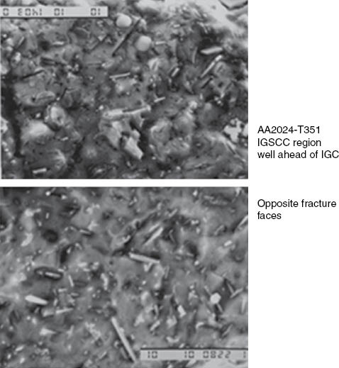 Figure 9: 
						Face matching fracture surfaces for IGSCC well ahead of the region of IGC in a AA2024-T351 tensile specimen pre-exposed to 0.53 m NaCl prior to being strained to failure in laboratory air at nominal strain rate of 10-5/s.
					