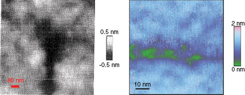 Figure 2:
In situ AFM height observations of the neighborhood of a crack tip in glass. Left: observation from Guilloteau et al. (1996) of a local depression at the crack tip propagating from bottom to top. Right: obsevation from Célarié et al. (2003) of apparent nanoscale cavities ahead of a crack tip propagating from left to right.