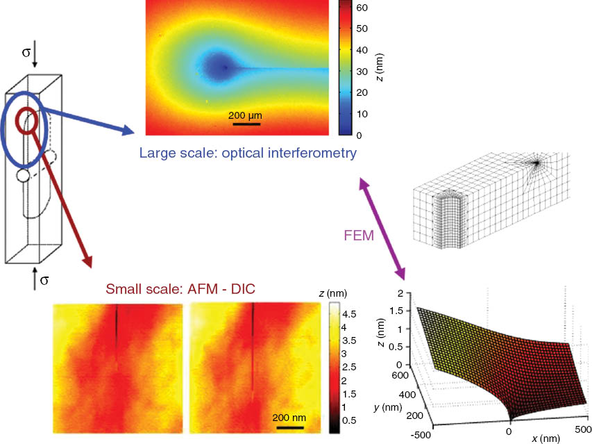 Figure 5:
The DCDC test sample is represented on the left along with the regions corresponding to the two scales of observation. The large-scale measurements by optical interferometry are illustrated on the top. The two small-scale AFM images in the bottom represent two successive steps of steady-state crack propagation that lead to the estimation of the local out-of-plane displacement field represented on their right. The finite-element mesh on the right is used to bridge the two scales.