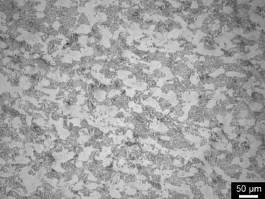 Figure 3: 
					The α+β microstructure of the Ti-6Al-4V alloy after the STOA treatment.
				
