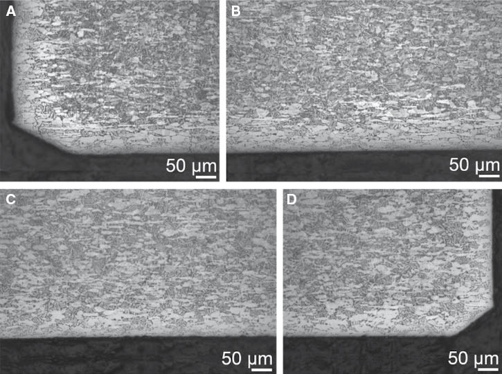 Figure 7: 
						The α-case observed on the samples’ microstructure near the fracture surface.
						(A) 92.5 wt% near fracture initiation edge, (B) 92.5 wt% external edge, (C) 97.5 wt% external edge, and (D) 97.5 wt% near fracture initiation edge.
					