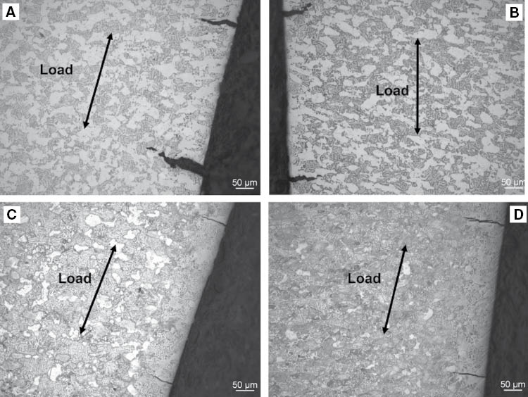 Figure 12: 
						LOM observation of the sample.
						Tested in (A) laboratory air and (B) 50%, (C) 95%, and (D) 99.8% methanol solutions.
					