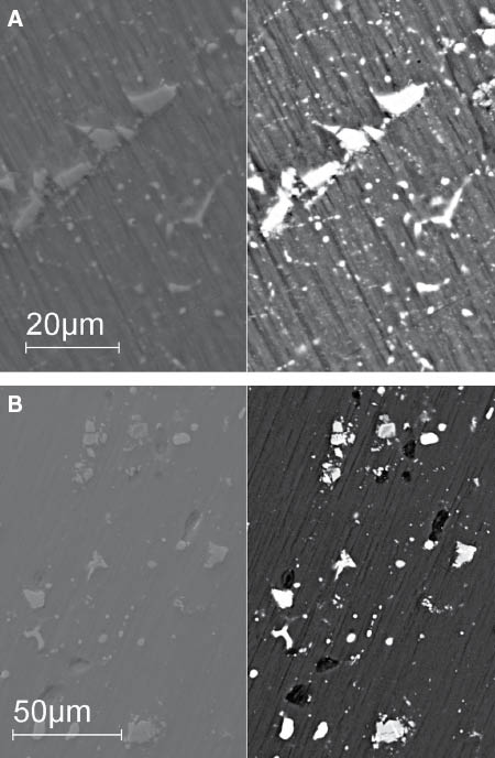 Figure 14: 
						Surface SEM BSE/SE images of as-polished Al 2024 after annealing (A) and T8 (B) thermal treatments.
					