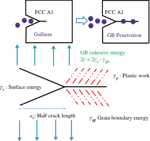 Figure 1: 
					LME, followed by penetration and adsorption of solute, followed by crack propagation (from Yamaguchi, Ebihara, Itakura, Suzudo, & Kaburaki, 2010).
				