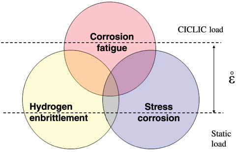 Figure 2: 
					Strain rate effect.
				