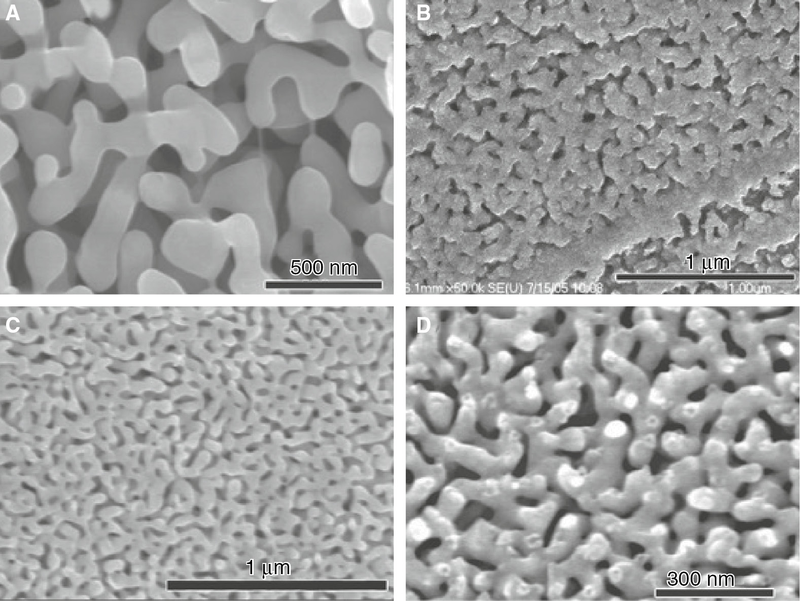 Figure 10: 
							Dealloying electrolytes affect both the ligament size and morphology.
							These SEM micrographs show the structure resulting from dealloying Mn0.7Cu0.3 in (A) pH 1.3 HCl, (B) 1 m citric acid, (C) 0.01 m H2SO4+0.001 m MnSO4, and (D) 1 m (NH4)2SO4+0.01 m MnSO4. Reprinted from Hayes et al. (2006), with permission from Materials Research Society.
						