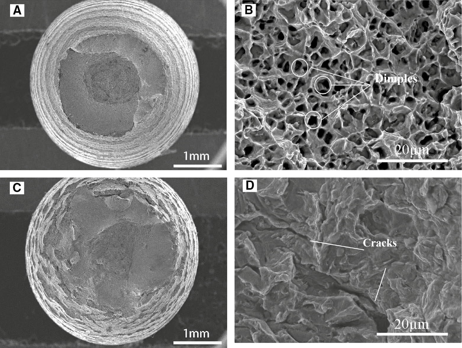 Figure 15: 
						SEM photomicrographs of the hydrogen-free specimen after failure in air and the specimen after failure in 0.5 m H2SO4 with hydrogen charge. (A, B) No-hydrogen charged in air; (C, D) hydrogen charged in 0.5 m H2SO4.
					