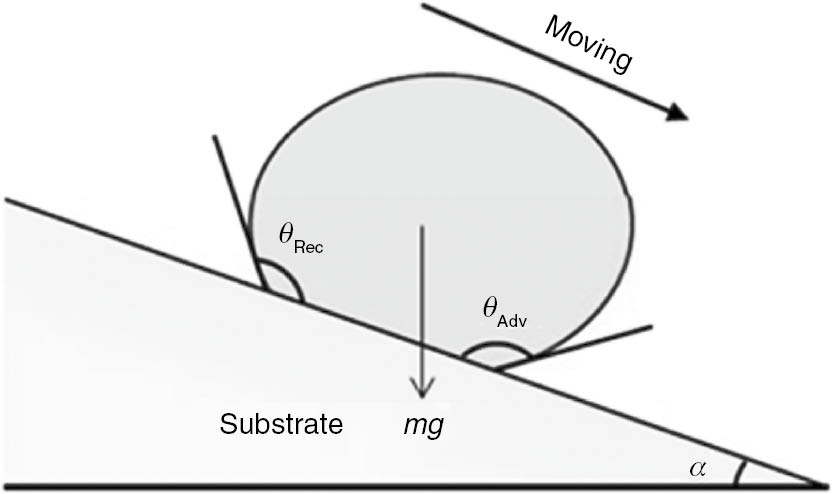 Figure 3: 
						An illustration of some of the parameters influencing the force needed for a drop to start sliding down a tilted surface.
					
