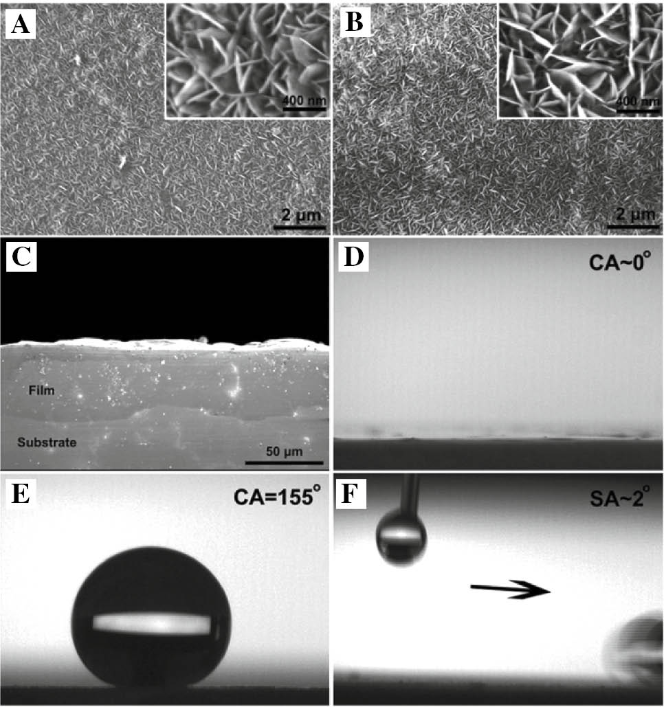 Figure 21: 
						SEM micrographs of the magnesium alloy before (A) and after (B) treatment with stearic acid, (C) cross-section graph of the sample with superhydrophobic layer, (D) CA optical image of the superhydrophilic layers, (E) CA and (F) SA image of the superhydrophobic film (Wang et al., 2015a). Copyright © 2014 Elsevier Inc. All rights reserved.
					