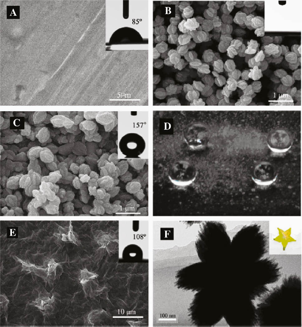 Figure 22: 
						SEM micrographs of (A) Cu substrate, (B) the CuO film, (C) the STA-modified CuO film, (D) a photograph of water droplets on STA-modified CuO film, (E) the STA-modified Cu film, (F) TEM image of single CuO nanoparticle (the carambola section was in the inset) (Fan et al., 2014). Copyright © 2014 Elsevier B.V. All rights reserved.
					