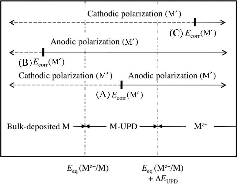 Figure 2: 
					Schematic diagram representing three different positions (A), (B) and (C) of Ecorr(M′) relative to the potential regions where bulk-deposited M, M-UPD and Mz+ are thermodynamically stable to explain the influence of stable M species on the cathodic or anodic polarization behavior of M′. The markes of the vertcal bar designate the positions of Ecorr(M′). The dotted and solid arrows indicate the directions of cathodic and anodic polarization of M′ from Ecorr(M′), respectively.
				