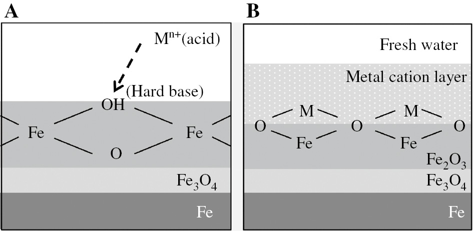 Figure 1: 
					Schematic representation of (A) bonding between metal cations (acid) in solutions and OH− (hard base) on oxide film on mild steel and (B) structure of the interface between the bonded metal cation layer and the oxide layer on mild steel in the model fresh water.
				