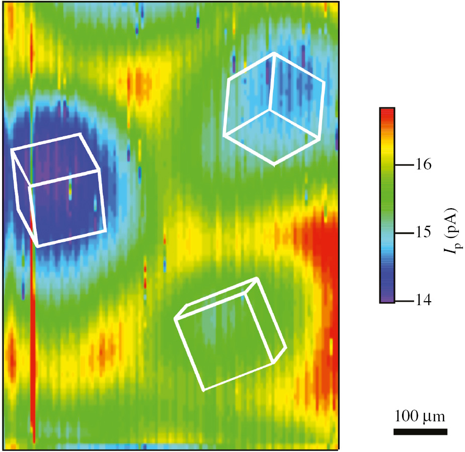 Figure 5: 
					Probe current image of an Fe7.5Al7Cr alloy electrode polarized at 0.42 V (SHE) in deaerated 0.5 m H2SO4 solution. For SECM imaging, the probe electrode, which was a carbon microdisk electrode with a diameter of 7 μm, was polarized at 1.14 V (SHE). The crystallographic orientation was identified using electron backscatter diffraction patterning (Lill, 2008).
				