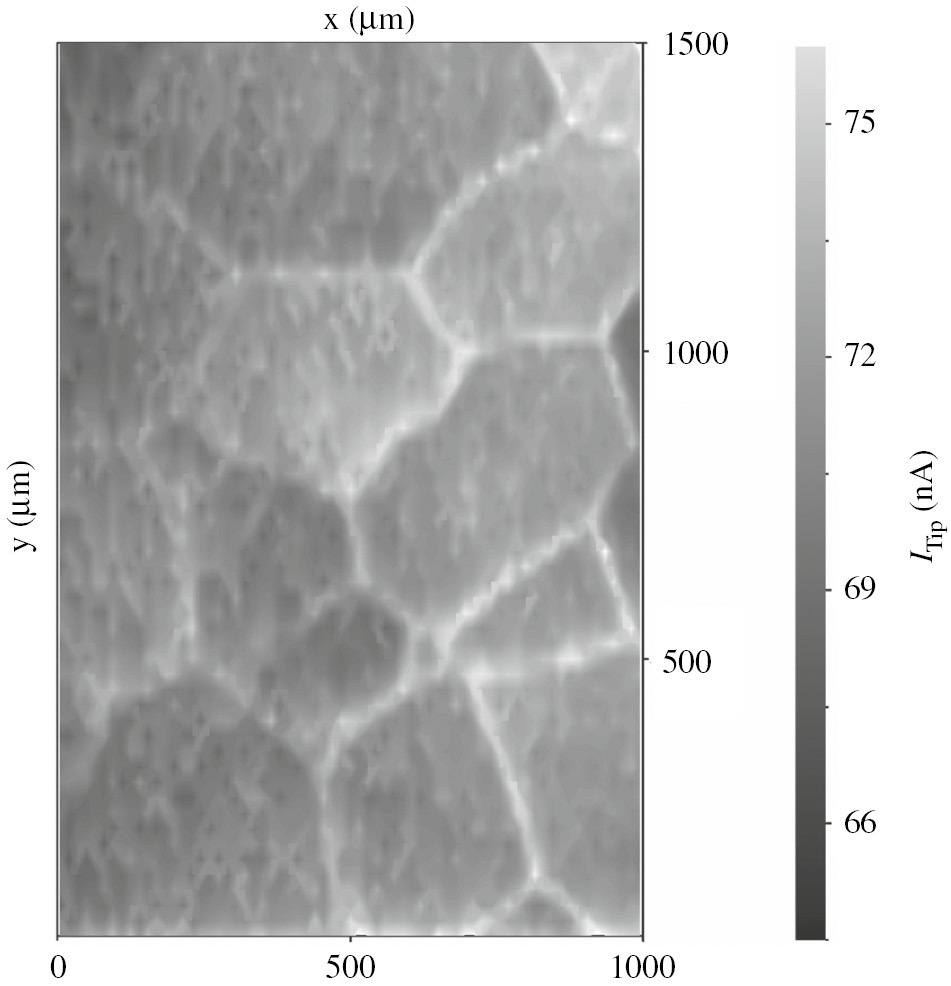 Figure 6: 
					Probe current image obtained in deaerated pH 8.4 borate buffer containing 0.1 m K4[Fe(CN)6] after the Fe7.5Al7Cr sample had been passivated in 0.5 m H2SO4 solution for 3.6 ks at 0.7 V. The probe of the platinum microelectrode with a diameter of 10 μm was polarized at 1.2 V, whereas the sample was polarized at 0 V (Lill et al., 2008).
				