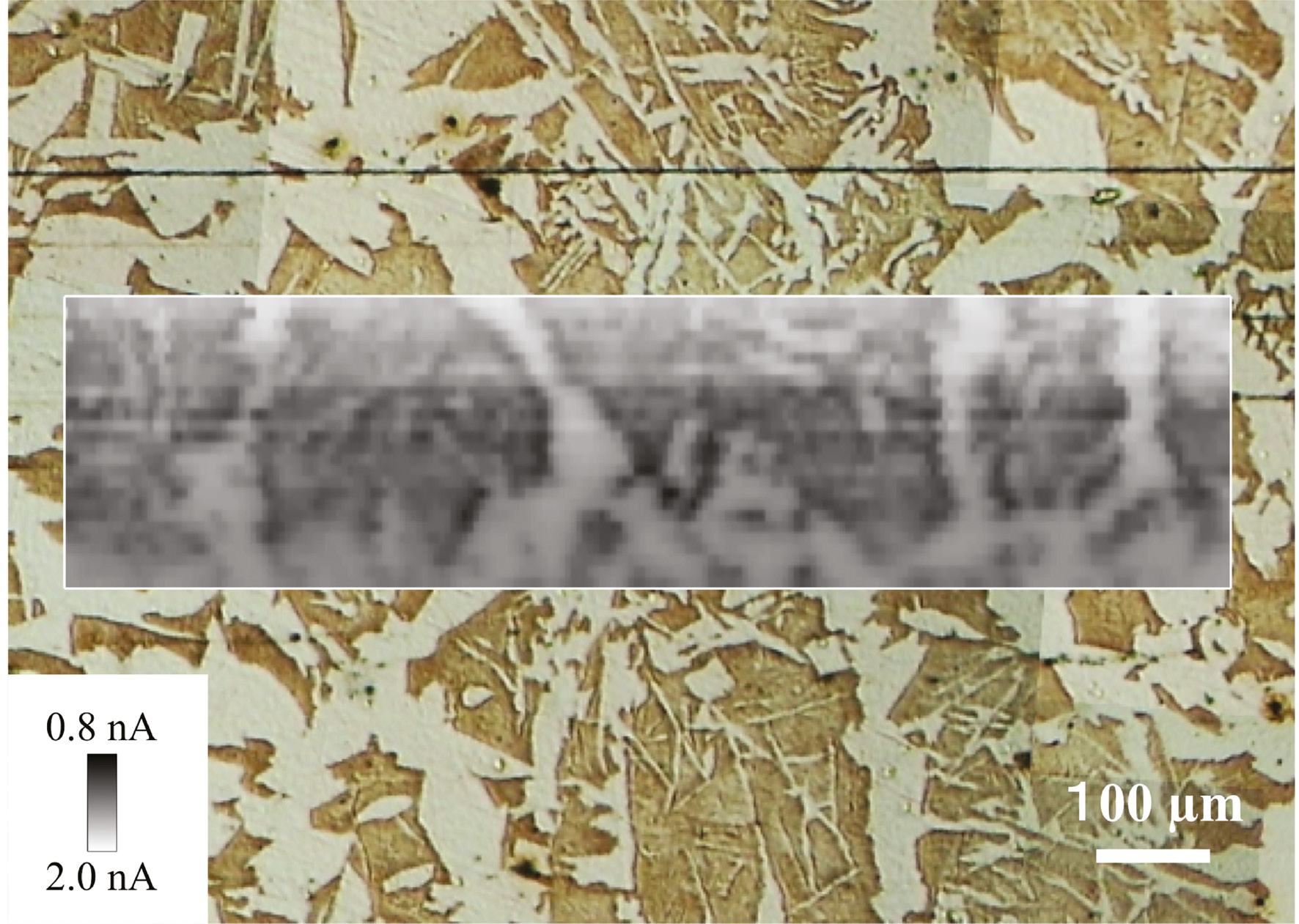 Figure 7: 
					Optical microscopic image of S45C carbon steel. (Inset) Probe current image of S45C carbon steel obtained in pH 8.4 buffer containing 1 mm FcMeOH after passivating in pH 8.4 borate buffer at 1 V (SHE) for 3.6 ks. The carbon steel specimen electrode and the platinum microelectrode with a diameter of 10 μm were polarized at 0.1 and 0.8 V (SHE), respectively.
				