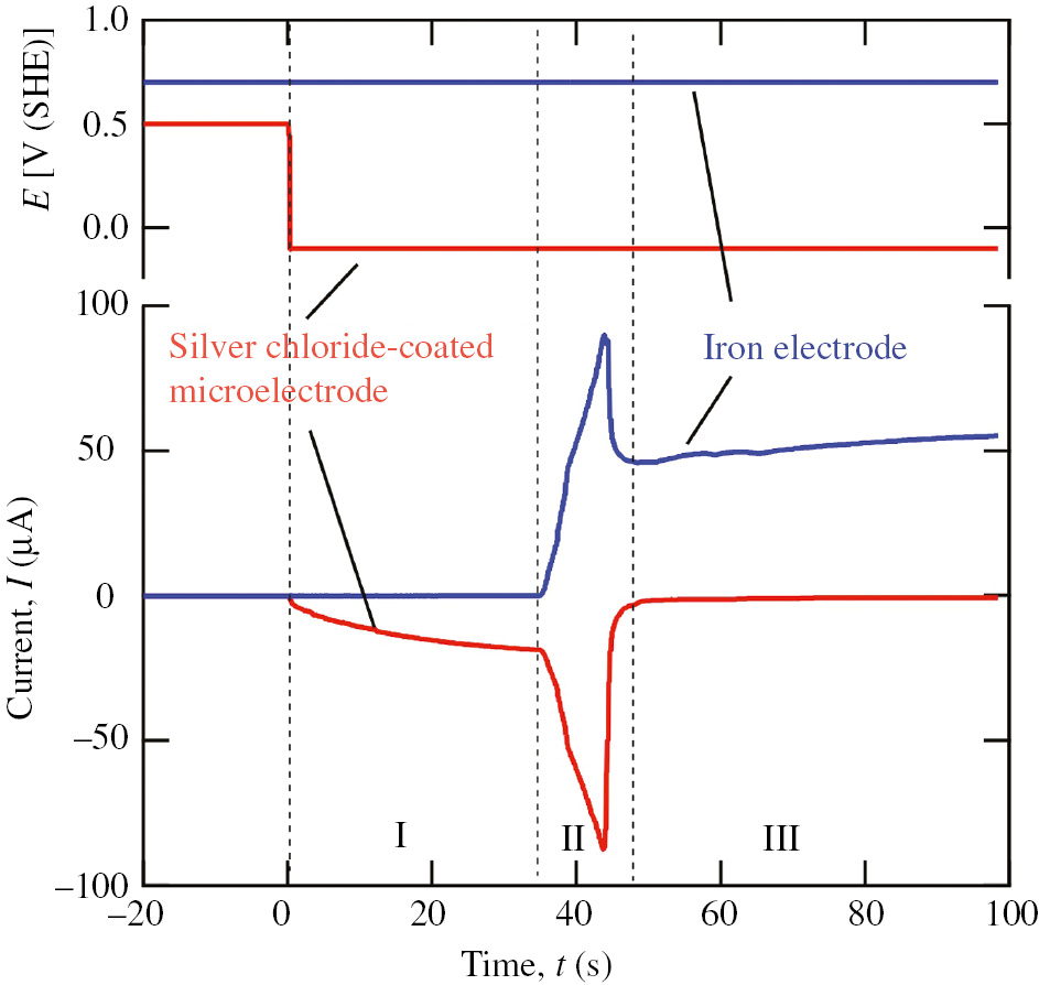 Figure 8: 
					Transients of currents flowing through an iron electrode and a silver chloride-coated microelectrode in pH 6.5 borate solution when the iron electrode was polarized at 0.7 V and the microelectrode potential was changed to −0.1 V (Fushimi et al., 2000b). Reproduced with permission from The Electrochemical Society.
				