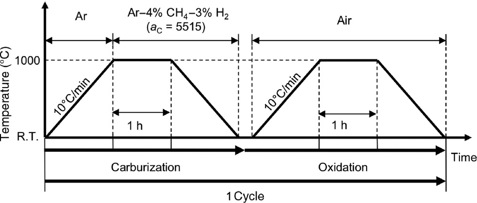 Figure 1: 
          Definition of one cycle of corrosion in the present study.
        