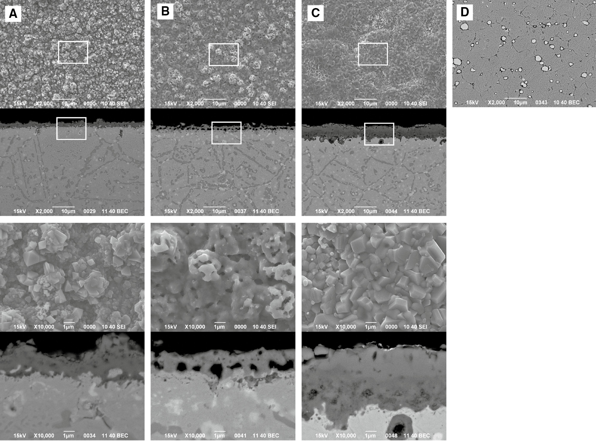 Figure 5: 
            Surface morphologies and cross sections of samples after different time (cycles) of the carburization-oxidation cycle test at 1000°C. (A) 6 (3 cycles), (B) 7 (3.5 cycles), (C) 8 (4 cycles) h and (D) as-received substrate (etched).
          
