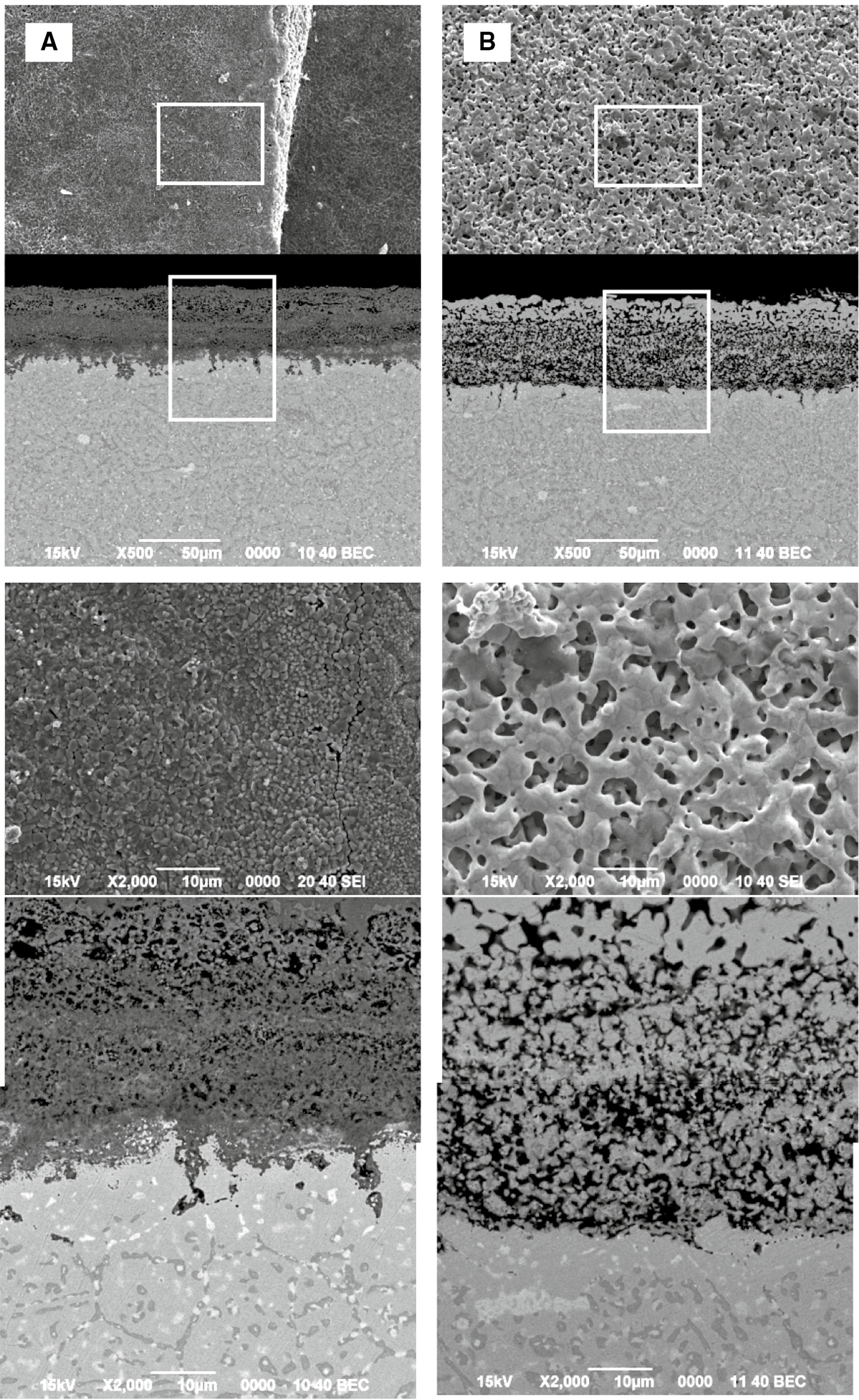 Figure 7: 
            Surface morphologies and cross sections of samples after different time (cycles) of carburization-oxidation cycle test at 1000°C. (A) 26 (13 cycles) and (B) 27 (13.5 cycles) h.
          
