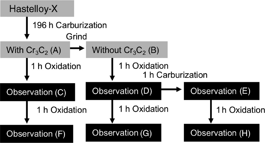 Figure 11: 
            Flowchart of the experiment to investigate the effect of Cr3C2 scale on oxidation at 1000°C.
          