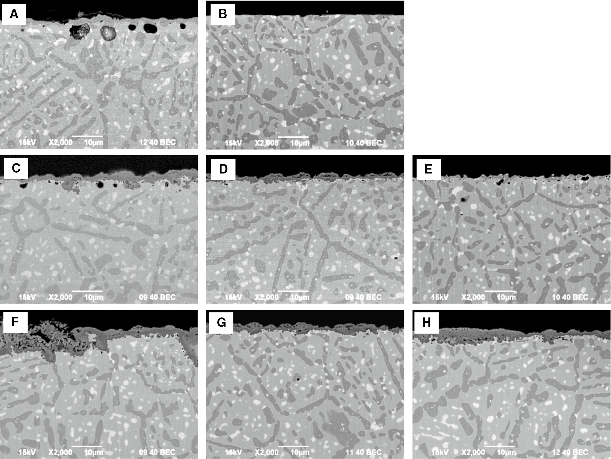 Figure 12: 
            Cross sections of surface products of samples after each test indicated in Figure 11. (A) Carburization for 196 h, (B) after removal surface carbide scale on sample (A), (C) oxidation of sample (A) for 1 h, (D) oxidation of sample (B) for 1 h, (E) carburization of sample (D) for 1 h, (F) oxidation of sample (A) for 2 h, (G) oxidation of sample (B) for 2 h and (H) oxidation of sample (E) for 1 h.
          