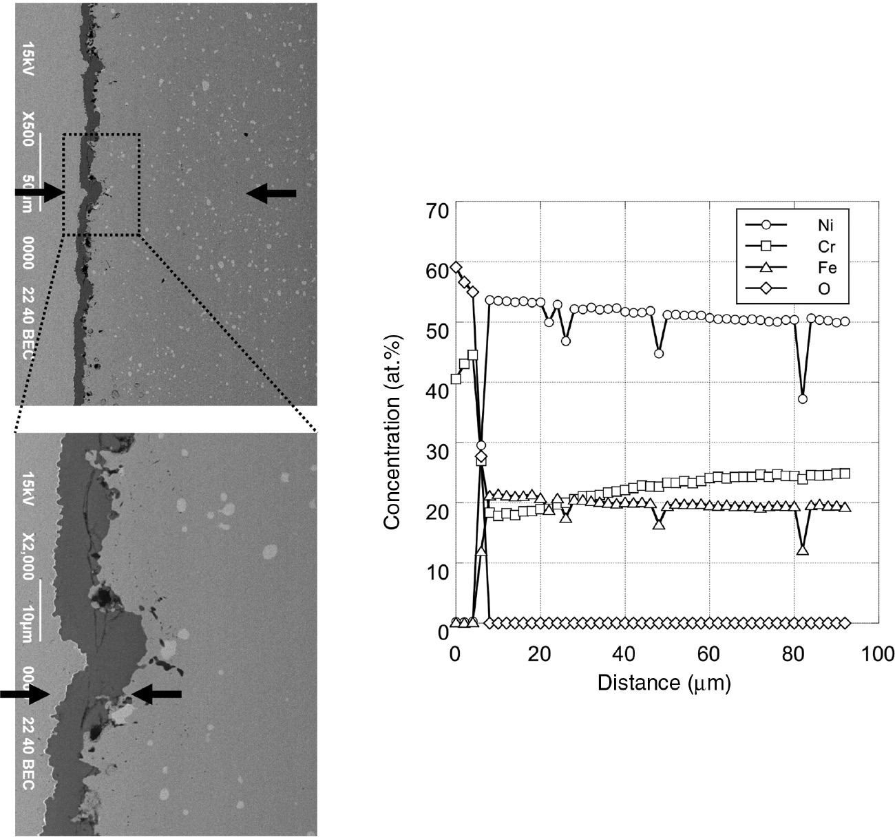 Figure 13: 
            Cross sections and concentration profiles of each element after 100 h of isothermal oxidation in air at 1000°C.
          