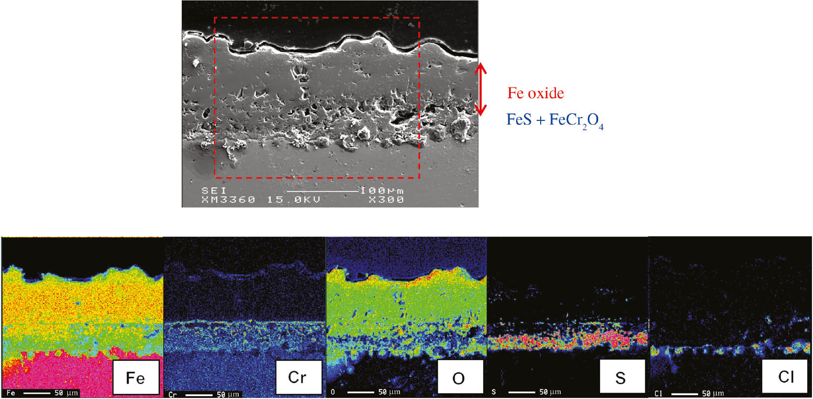 Figure 1: 
          Cross-sectional scanning electron microscopy (SEM) image and element map in the scale formed on STBA 21 corroded for 72 ks at 923 K in an air-NaCl-Na2SO4 gas atmosphere (Sano et al., 2011). Reproduced with permisison from the 123rd Committee on Heat-Resisting Materials and Alloys, Japan Society for the Promotion of Science.
        