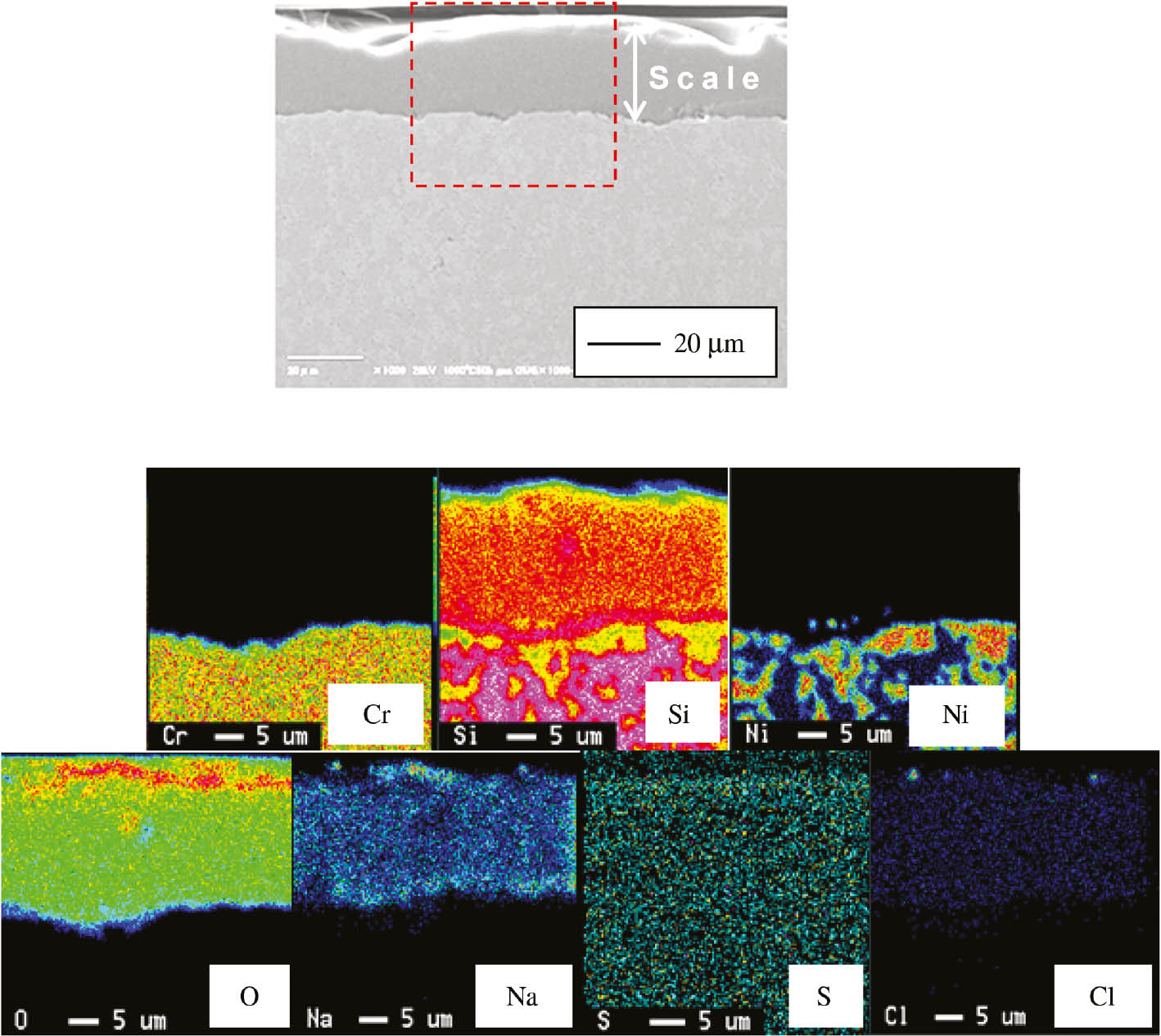 Figure 5: 
            Cross-sectional SEM image and element map in the scale formed on CrSi2-10 mass% Ni corroded for 180 ks at 1273 K in an air-NaCl-Na2SO4 gas atmosphere (Sano et al., 2011). Reproduced with permisison from the 123rd Committee on Heat-Resisting Materials and Alloys, Japan Society for the Promotion of Science.
          