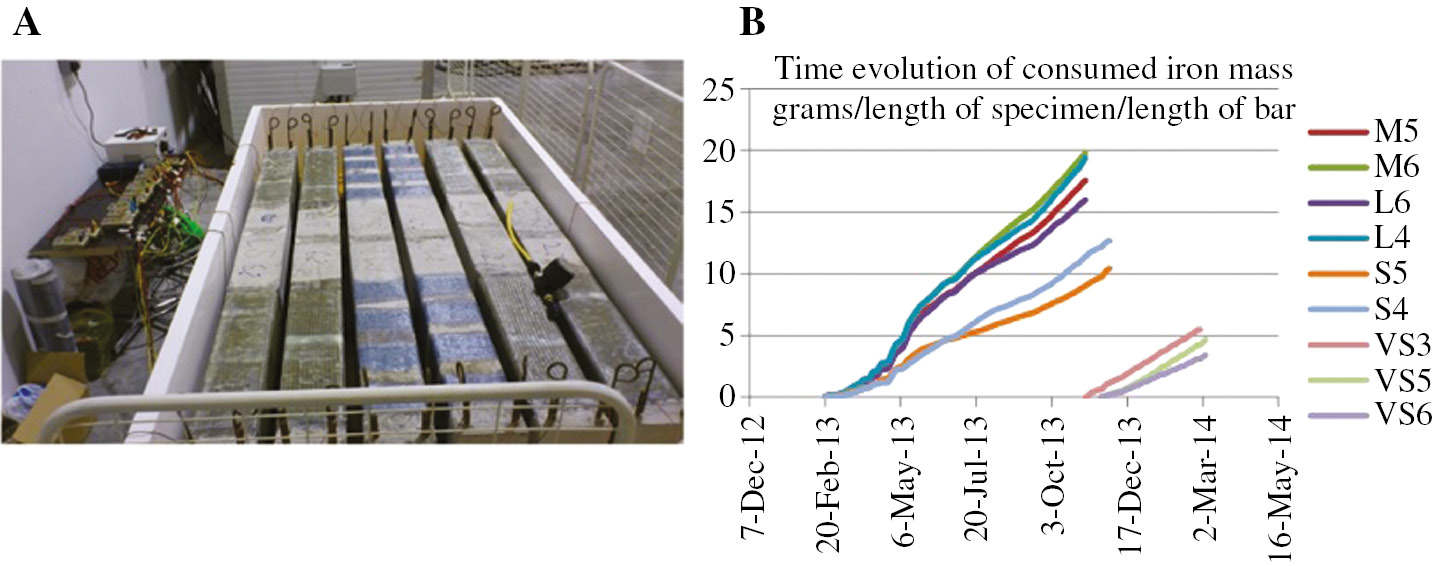 Figure 5: 
					(A) General view of the corrosion bath; (B) accumulation of iron mass loss with time (to convert to total grams lost multiplied by length of beam×total length of steel bars).
				