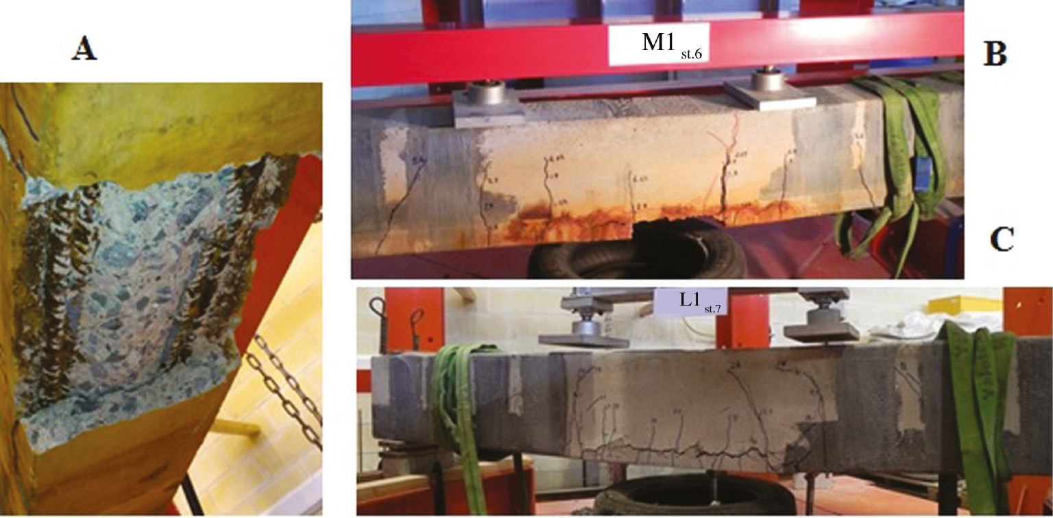 Figure 13: 
					(A, B) Brittle failure of lightly corroded specimen A-M1; (C) ductile failure of uncorroded specimen A-L1.
				