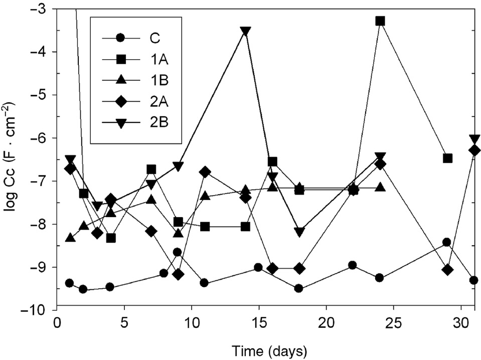 Figure 17: 
              Time dependence of the capacitance (Cc) of the painted panels systems in NaCl 0.5 m.
            