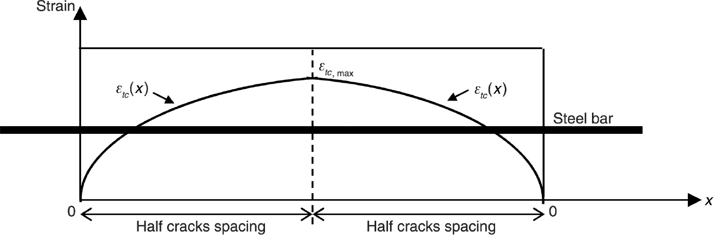 Figure 6: 
					Non-linear distribution of concrete strain εtc(x) along the tension chord between two cracks.
				