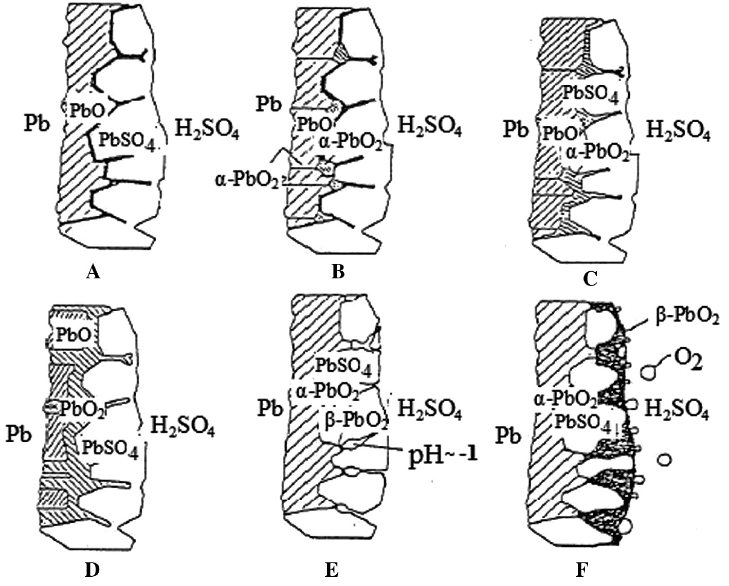 Figure 7: 
							Construction of the anode layers of corrosion: (A) Pb/PbSO4/H2SO4; (B–Ð) Pb/α-PbO2/PbSO4; (E, F) formation of β-PbO2 (Pavlov, 1984). Permission granted by D. Pavlov.
						