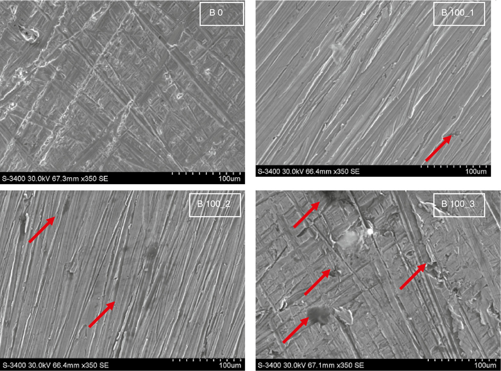 Figure 6: 
					SEM micrographs of MCS after immersion in diesel fuel (B0) and biodiesel (B100) with 100, 500, and 700 ppm water concentration at 90°C for 1200 h.
				